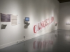 Canceled, Installation view at the Freedman Gallery, Albright College